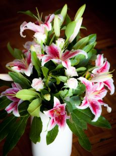 florist glenferrie