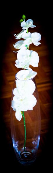 florist glenferrie